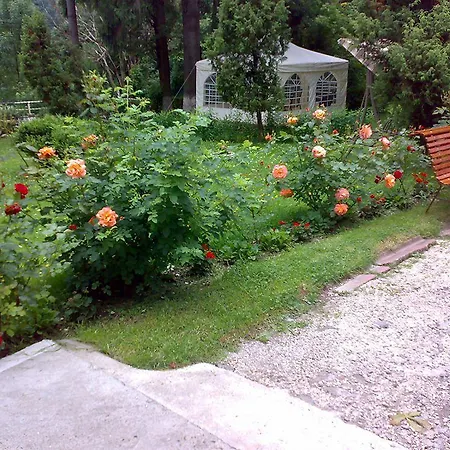 Camelia Hotel