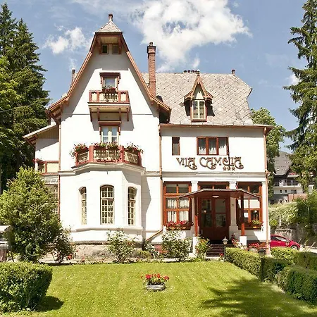 Hotel Camelia Sinaia